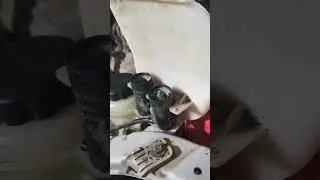 Сколько стоит материал самый дешёвый.