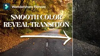 Black and White to Color Transition - Filmora 12.3