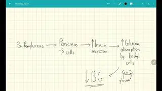Sulfonylureas Explained in 2 Minutes