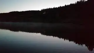 Как поют соловьи или ночь на пруду....