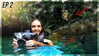 SWIMMING IN THE MIDDLE OF THE JUNGLE?! - Mexico Vlog: Episode 2