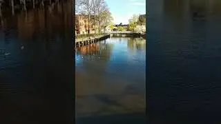 Река Фюрис