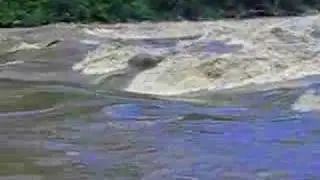 Olifants River in Flood