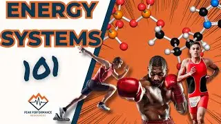 Energy Systems Explained: The Science of Sports Performance