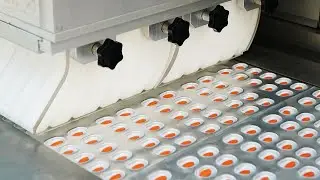 High-efficiency Blister Feeder For Various Shapes of Tablets