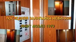 (Последняя залипайка города!) Лифт МОЭЛЗ 1979 по адресу: Невинномысск, Б-р Мира 38, подъезд 1