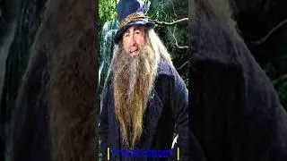 Who Is Tom Bombadil ? - Explained #middleearth #lordoftherings #middleearthinvader #tombombadil
