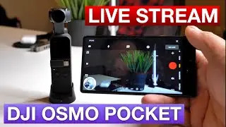 How to Live Stream with DJI Osmo Pocket + Android Phone! 100% FREE (Need 1K YT Subs)