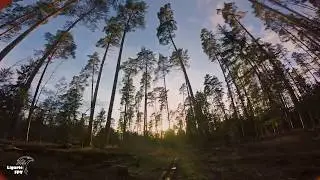 sunset & forrest -- Armattan Chameleon Ti 6s