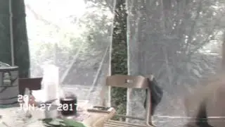 Голая девушка
