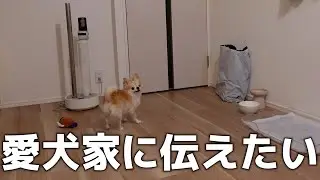 It was more of a shock than I expected...