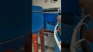 8 октября 2023 г.