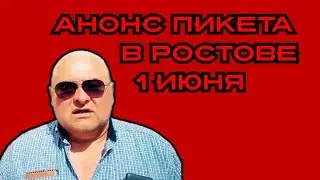 Приглашение на пикет 1 июня 2024г. Темы в описании