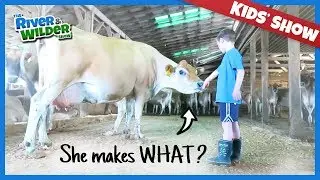 HAPPY COWS MAKE THE BEST CHOCOLATE ICE CREAM - KIDS SHOW