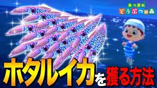 [Animal Crossing: New Horizons] How to catch the deep sea blue gem 