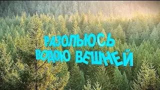 РАЗОЛЬЮСЬ ВОДОЮ ВЕШНЕЙ/Душевная авторская песня.