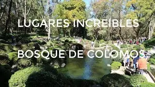LUGARES INCREÍBLES | BOSQUE DE COLOMOS, JALISCO