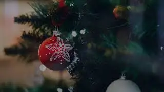 Fir