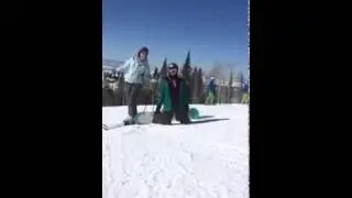 Giraffe loose in Colorado Vine