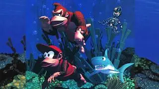 Aquatic Ambience | Donkey Kong Country Remix