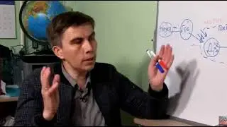 Школа - это лебедь, рак и щука в свалке руководящих решений "сверху"