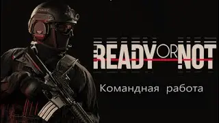 READY OR NOT: Командная работа
