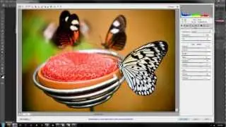 Adobe Camera Raw CS5 vs CS6 NEW FEATURES!