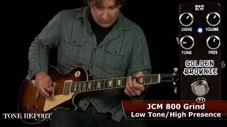 Xvive T1 Golden Brownie Distortion