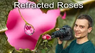 Creative Macro Photography - Photographing Roses with Helios 44-2 [Soap Bubble Bokeh]