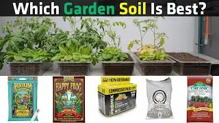 Which Potting Soil Is Best? Collection 2