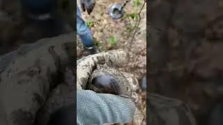 О це так знахідка
