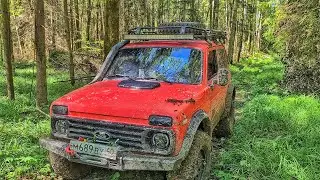 НИВЫ и УАЗ на новом маршруте. Offroad по лесным завалам.