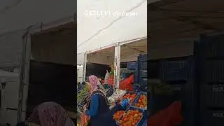 6 Ağustos 2024