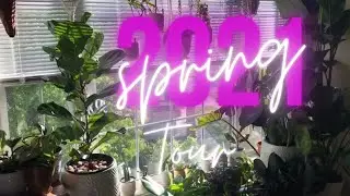 Spring House Plant Tour
