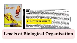 XI BIO CHP 1: levels of biological organization? biology|cells| Tissues.