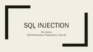 Presentation on SQL Injection - Ted Lawson