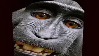 3 CREEPY GAMES (6)
