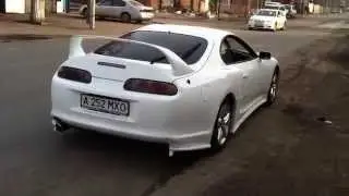 IMG_2395.MOV