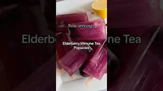 4 Surprising Ways to Make Elderberry Immune Tea