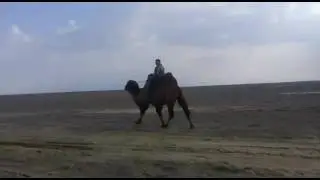 Акжигит ауылы