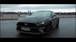 Работа ученика | MUSTANG