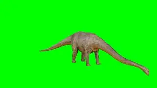Big dinosaur green screen effect Free to use #free #freeeffects #greenscreen #chromakey #effect #fyp