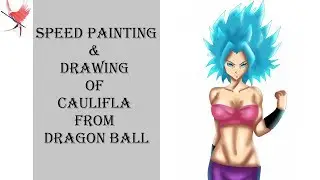 Speed Drawing: Caulifla From Dragon Ball Super