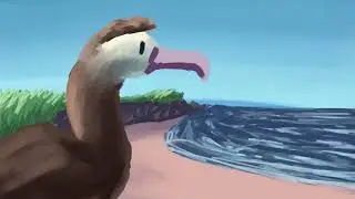 The Life Cycle Of An Albatross, Animation