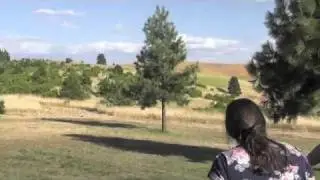 The Temper Trap - August USA Tour Diary'