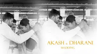 Akash Love❤️ Dharani | |Kerala Wedding | 2024 | Guruvayur | #youtube #shorts #wedding #trending