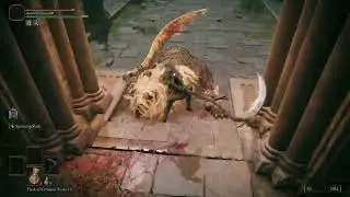 More reaper build grinding ELDEN RING