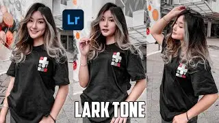 Lightroom Tutorial Lark Tone | Lightroom Mobile Preset | Lightroom - Tutorial