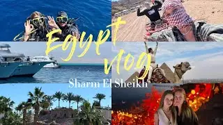 Влог: впервые в Египте с друзьями 🇪🇬живем на 1$ в день🤪 сафари / пирамиды / дайвинг 🤿 🛳️🐚