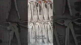 Forcep#33